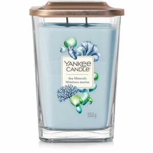 YANKEE CANDLE Elevation Sea Minerals